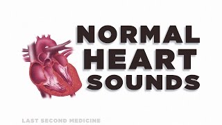 Heart Sounds Series  Normal Heart Sounds [upl. by Gan]