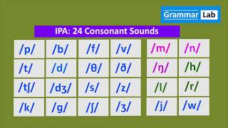 IPA 24 Consonant Sounds [upl. by Ihtak]