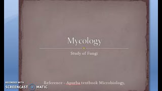 Microbiology 577 a Mycology Introduction Fungi Fungal Types Classification Yeast Mold disease [upl. by Apfel]