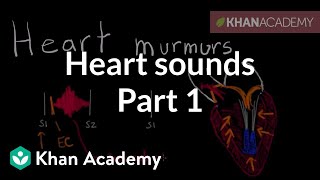 Where to listen for Heart Sounds Auscultory Areas  MEDZCOOL [upl. by Airat]