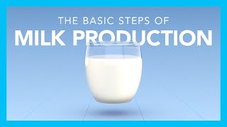 The basic steps of milk production [upl. by Farrand]