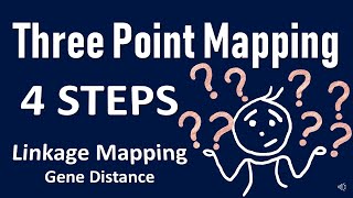 Three point mapping II Gene Order II Gene Distance II Genetics Problem Linkage [upl. by Elisha]