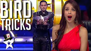 Magician Conjures BIRDS To The Stage on Indias Got Talent  Magicians Got Talent [upl. by Laemsi]