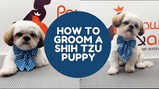 HOW TO GROOM A SHIHTZU PUPPY IN A TEDDYBEAR CUT [upl. by Fronnia]