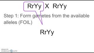 How to determine gametes for a dihybrid cross [upl. by Pfeifer2]