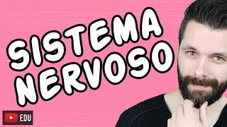 SISTEMA NERVOSO  FISIOLOGIA  Aula  Biologia com Samuel Cunha [upl. by Aprilette949]