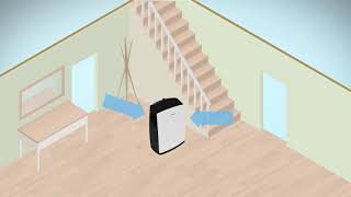 Dehumidifiers How do they work [upl. by Nyvlem]