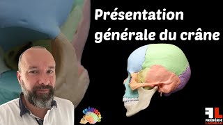 Présentation générale du crâne [upl. by Gleich]