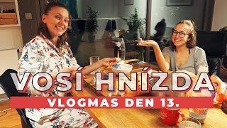 VLOGMAS DEN 13  Vosí hnízda [upl. by Anytsyrk]