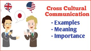 Cross cultural communication in Hindi with examples  Syed Fahad [upl. by Yremogtnom]