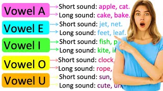 VOWELS amp CONSONANTS  Whats the difference  Learn with examples [upl. by Neelon]