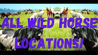 All Wild Horse Spawn Locations  Black Desert Online [upl. by Isolde776]