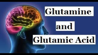 GLUTAMINE AND GLUTAMIC ACID DOES [upl. by Socha230]