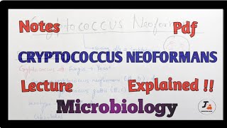 Cryptococcus neoformans Microbiology [upl. by Rosenblatt245]