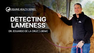 Detecting Lameness in Your Horse [upl. by Ailemor]